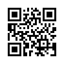 QR CODE 66