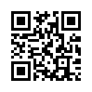 QR CODE 81