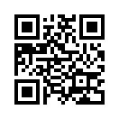 QR CODE 133