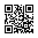 QR CODE 53