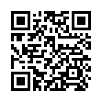 QR CODE 3419