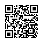 QR CODE 9493