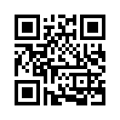 QR CODE 261