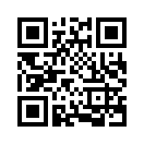 QR CODE 301