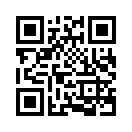 QR CODE 329