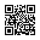 QR CODE 336