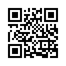 QR CODE 342