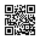 QR CODE 394