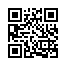 QR CODE 407