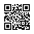 QR CODE 411