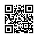 QR CODE 421