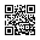 QR CODE 461