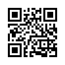 QR CODE 466