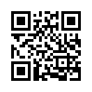 QR CODE 499