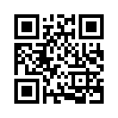 QR CODE 501