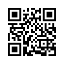 QR CODE 511