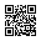 QR CODE 528