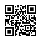 QR CODE 549