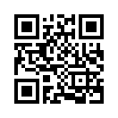 QR CODE 733