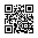 QR CODE 737