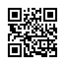QR CODE 766