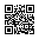 QR CODE 791