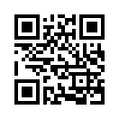 QR CODE 878