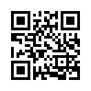 QR CODE 881