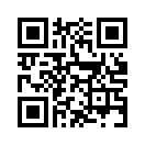QR CODE 336