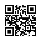 QR CODE 344