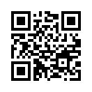 QR CODE 110