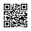 QR CODE 313