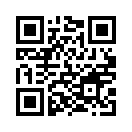QR CODE 336