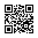 QR CODE 461