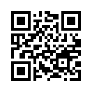 QR CODE 494