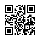 QR CODE 501