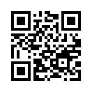 QR CODE 519