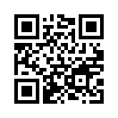 QR CODE 529