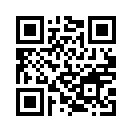 QR CODE 677