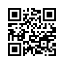 QR CODE 950