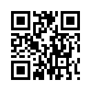 QR CODE 993