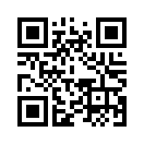 QR CODE 1117