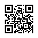 QR CODE 1254