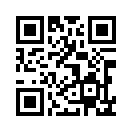 QR CODE 1271