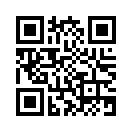 QR CODE 133