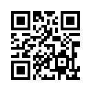 QR CODE 1333