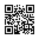 QR CODE 1337