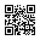 QR CODE 1341