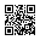 QR CODE 1343