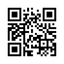 QR CODE 1381